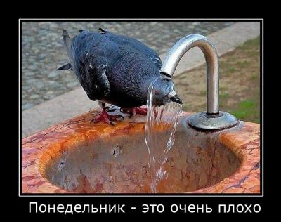 Прикрепленное изображение: monday.jpg